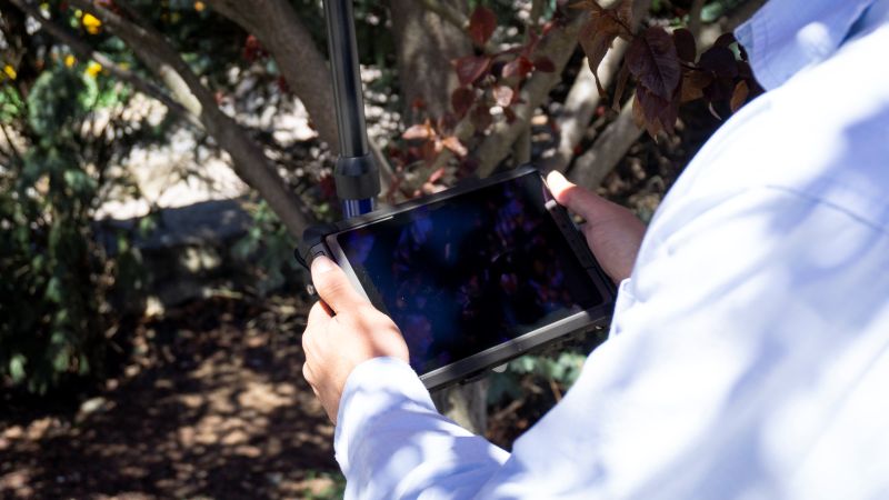 Carlsont RT5+ Data Collector Example